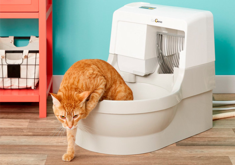 Cat Genie Self Flushing Cat Box