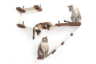 CatastrophiCreations cat hammock