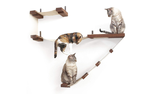 CatastrophiCreations cat hammock