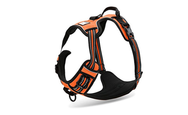 Chai's Choice Best Outdoor Adventure Dog Harness