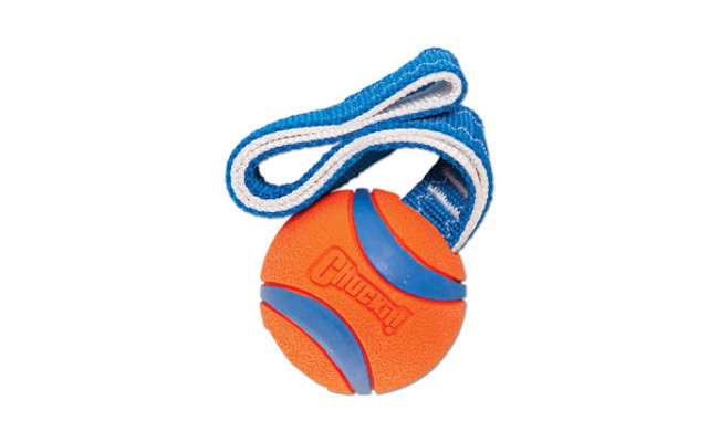 Chuckit! Ultra Tug Toys For Dogs