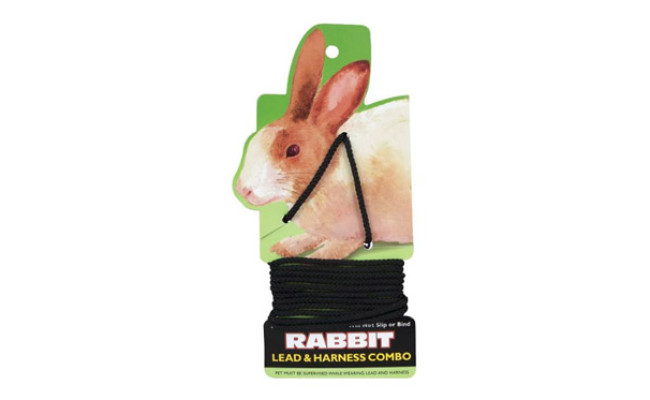 Coastal Rabbit Harness