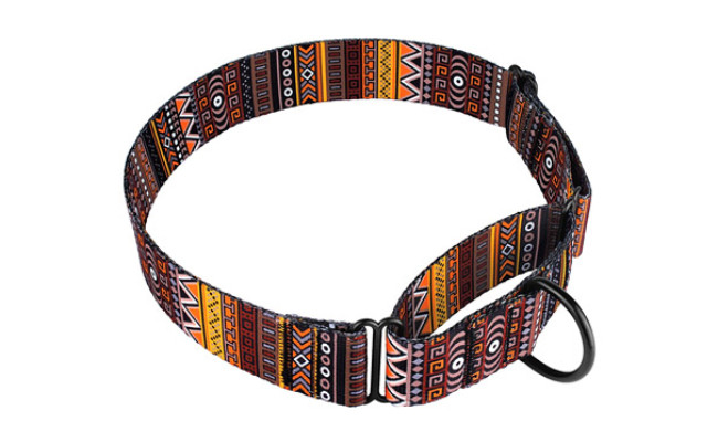 CollarDirect Martingale Collars for Dogs