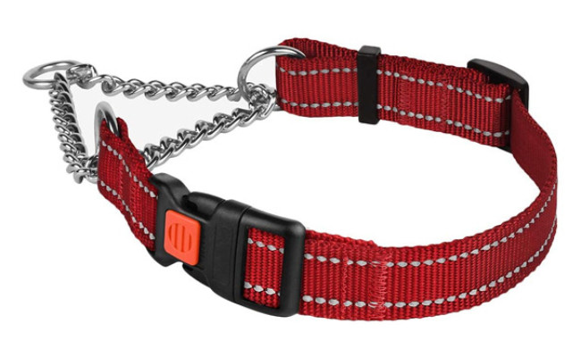 CollarDirect Reflective Dog Collar