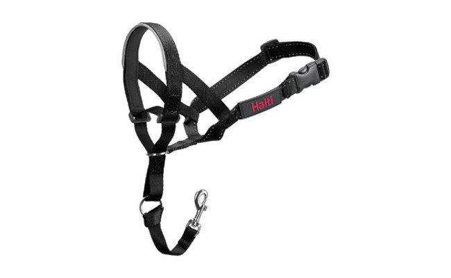 Company of Animals Halti Head Collar