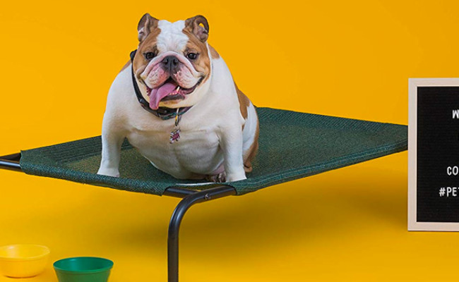 Coolaroo Elevated & Indestructible Dog Bed