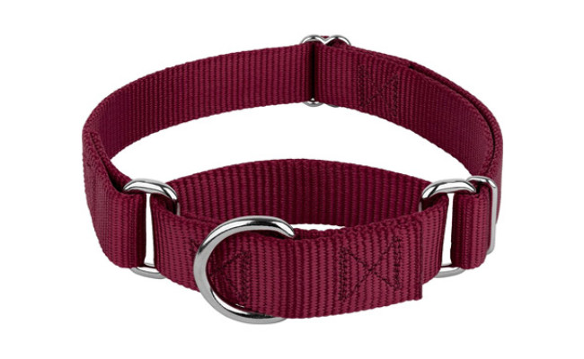 Country Brook Petz Burgundy Martingale Dog Collar