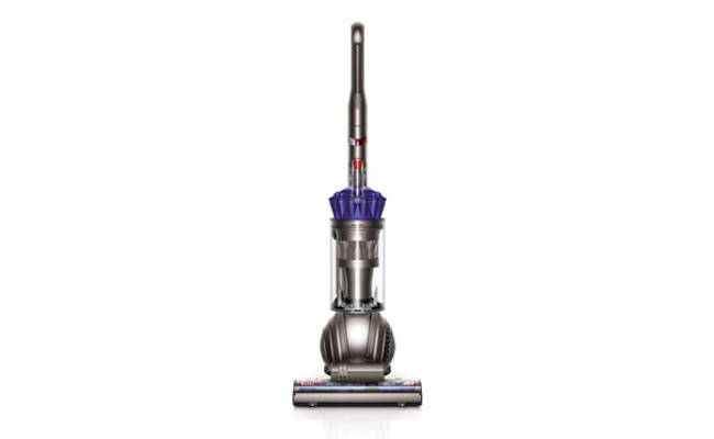 DC65 Pet Upright Vacuum Cleaner