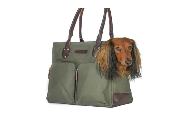 DJANGO Dog Carrier Bag