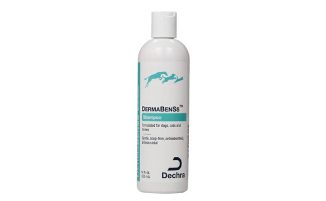 Dechra DermaBenSs Shampoo for Dogs, Cats & Horses