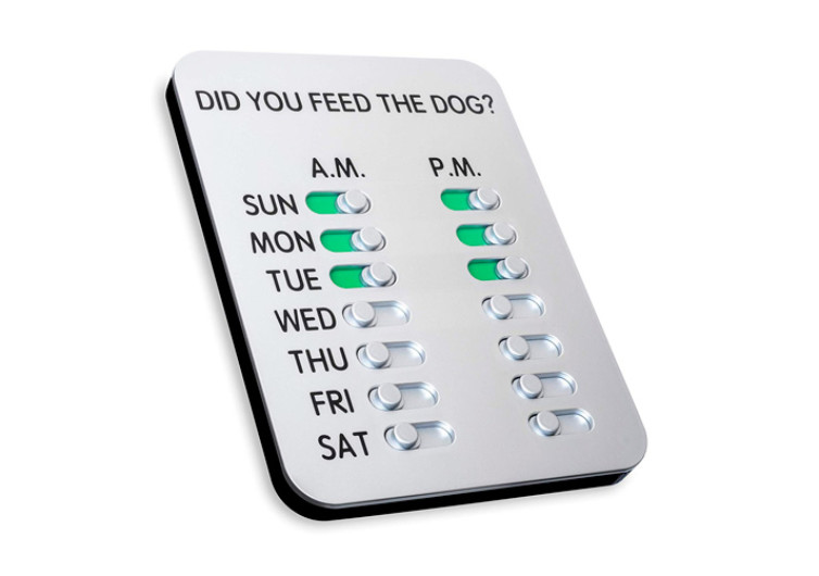 Did You Feed The Dog