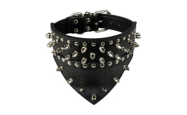 Didog Spiked & Studded Leather Dog Collar