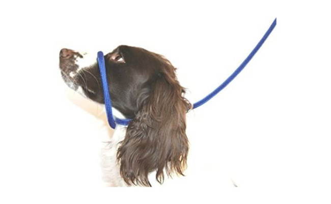 Dog & Field Figure 8 Anti Pull Leash Head Halter