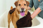 Dog Gone Smart Pet Products Drying Towel