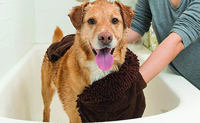 Dog Gone Smart Pet Products Drying Towel