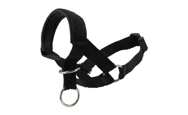 Dog Head Collar Halter