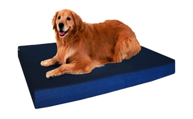 Dogbed4less Orthopedic Indestructible Dog Bed