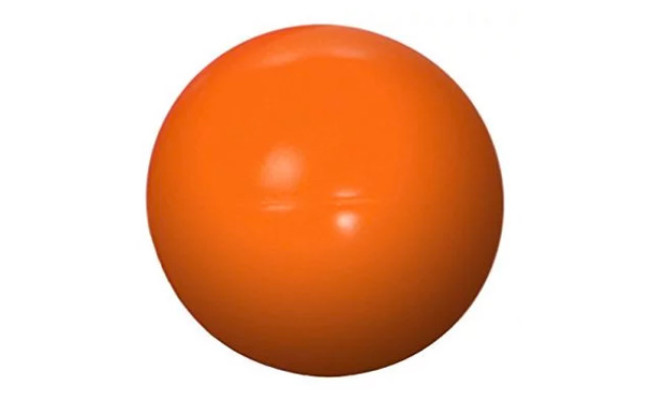 Doggie Dooley Virtually Indestructible Dog Herding Ball