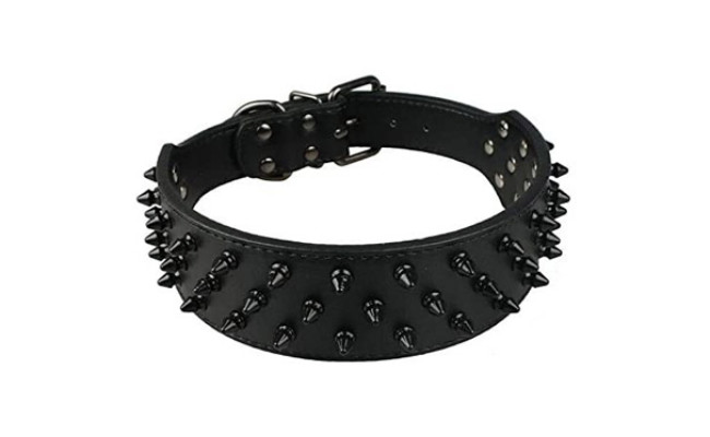 Dogs Kingdom Leather Black Dog Collar