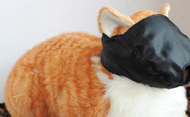 muzzle for cats to stop meowing