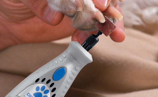 Dremel Dog Nail Grinder