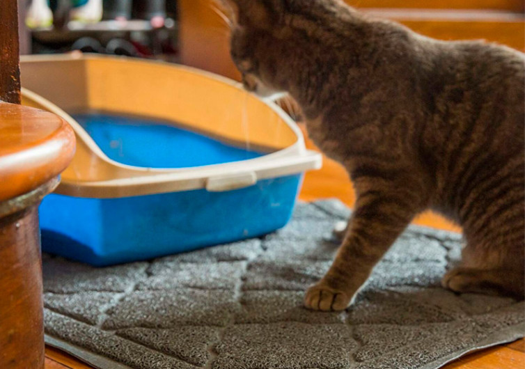 Easyology Cat Litter Mat