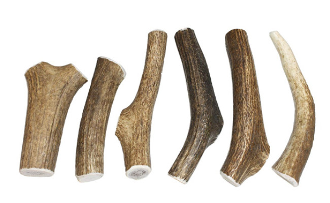 Elkhorn Premium Grade A Premium Elk Antler Dog Chew