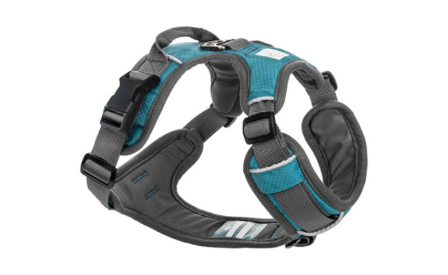 Embark Pets Dog Running Harness