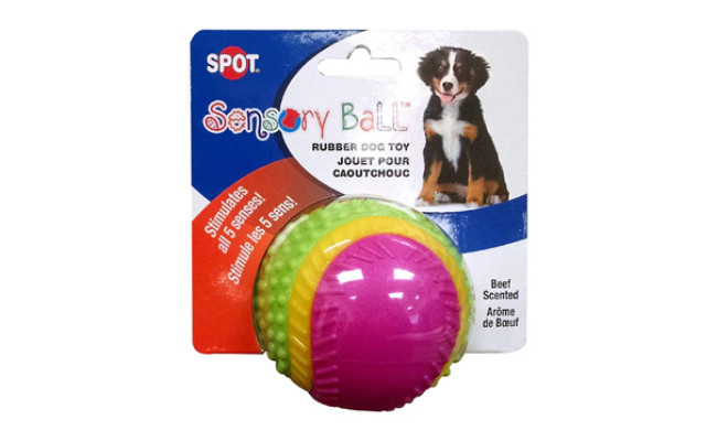 Ethical Pets Sensory Ball Dog Toy