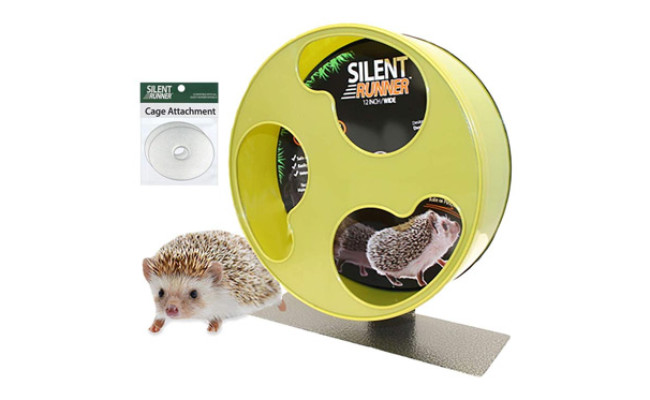 Exotic Nutrition Hedgehog Wheel