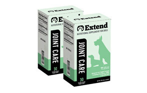 extend dog supplement