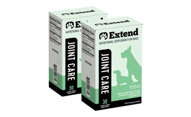 Extend Pets Supplement for Older Dogs