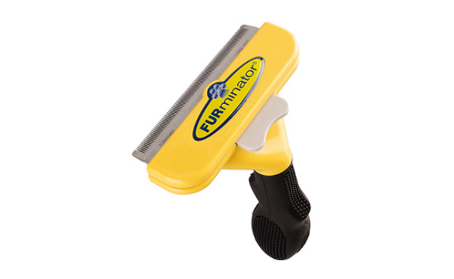 dog brush to reduce shedding