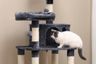 Feandre Cat Condo with Scratching Posts