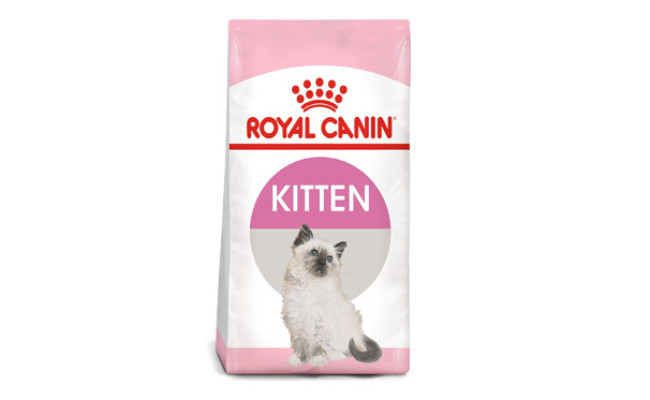 royal canin mother & baby dry cat food kitten