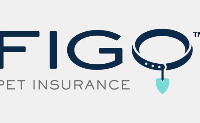 Figo Pet Insurance