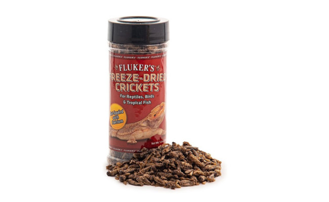 Fluker s Freeze Dried Crickets Reptile Treats