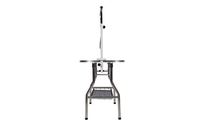Flying Pig Grooming Table for Dogs