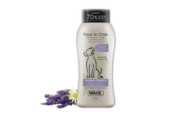 Four in One Dog Shampoo & Conditioner