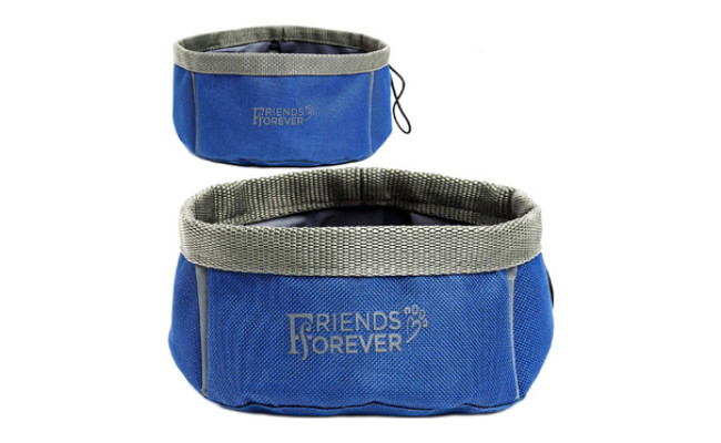 Friends Forever Collapsible Dog Bowl