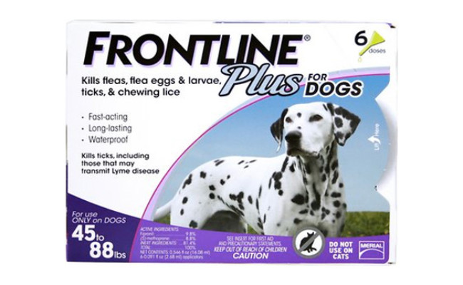 frontline flea medicine