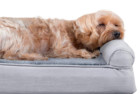 Furhaven Orthopedic Dog Bed