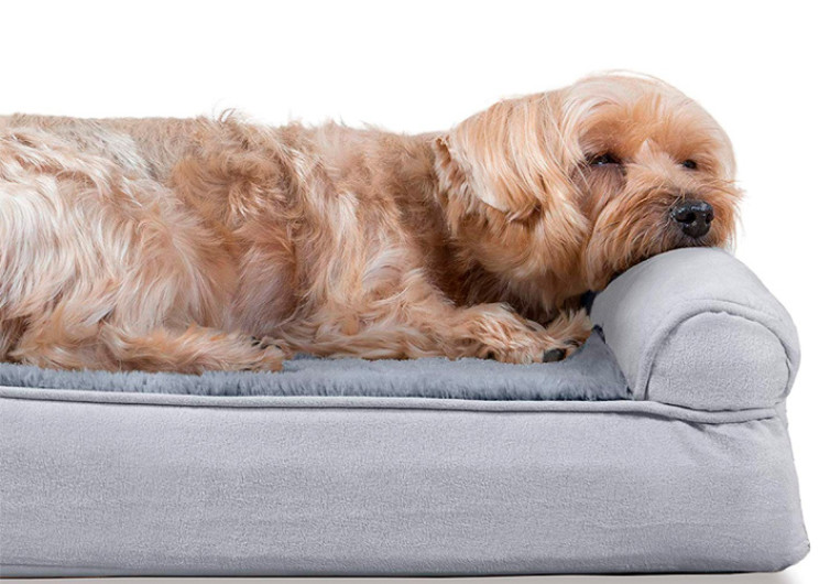 Furhaven Orthopedic Dog Bed