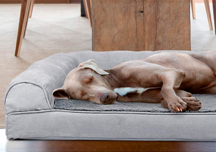 Furhaven Orthopedic Dog Bed