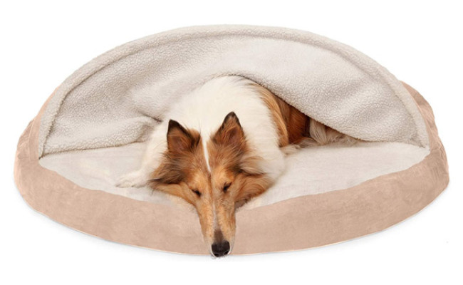 Furhaven Pet Dog Bed