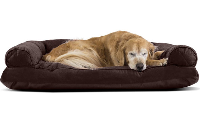 Furhaven Quilted Orthopedic Living Room Sofa Dog Bed