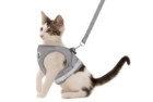 GAUTERF Cat Universal Harness