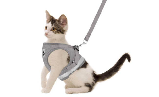 GAUTERF Cat Universal Harness