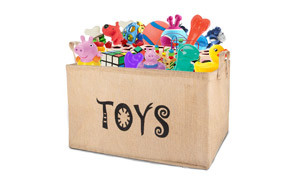 toy boxes for dogs