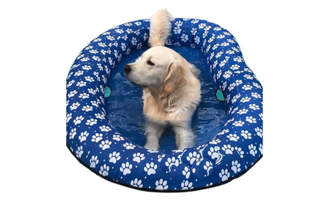 Ginkago Inflatable Pool Float for Dogs